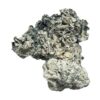 Buy Enigma Magic Mushrooms Canada – Fungi Roots